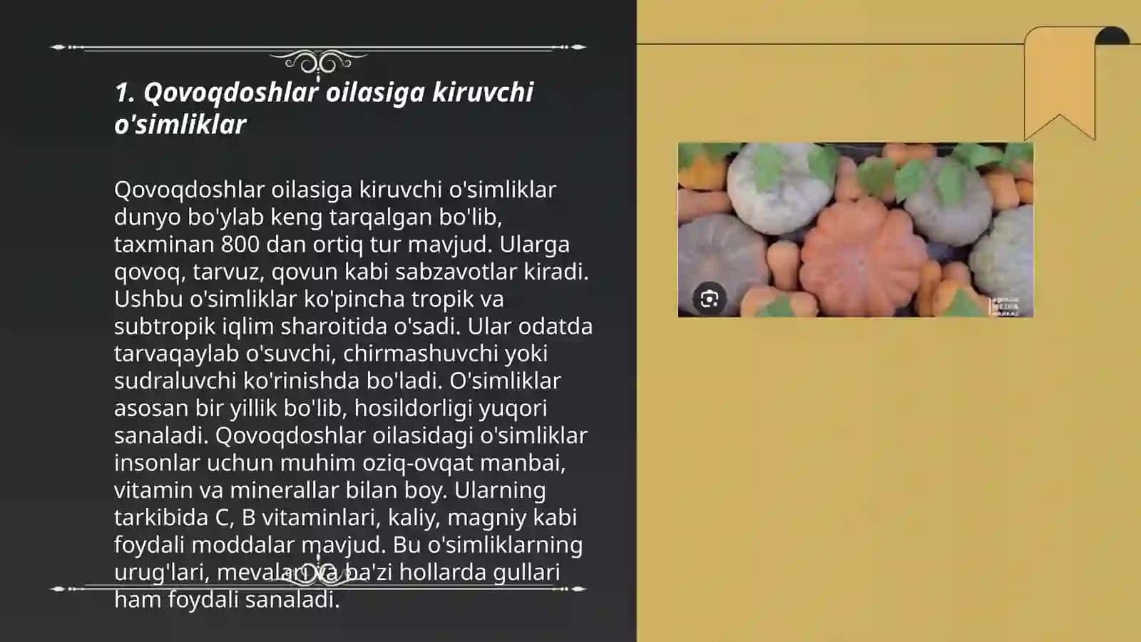 Kam tarqalgan qovoqdoshlar navlari 3