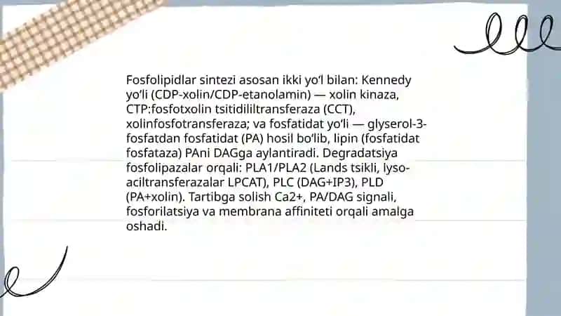 Fosfolipidlar almashinuvi patofiziologiyasi 3
