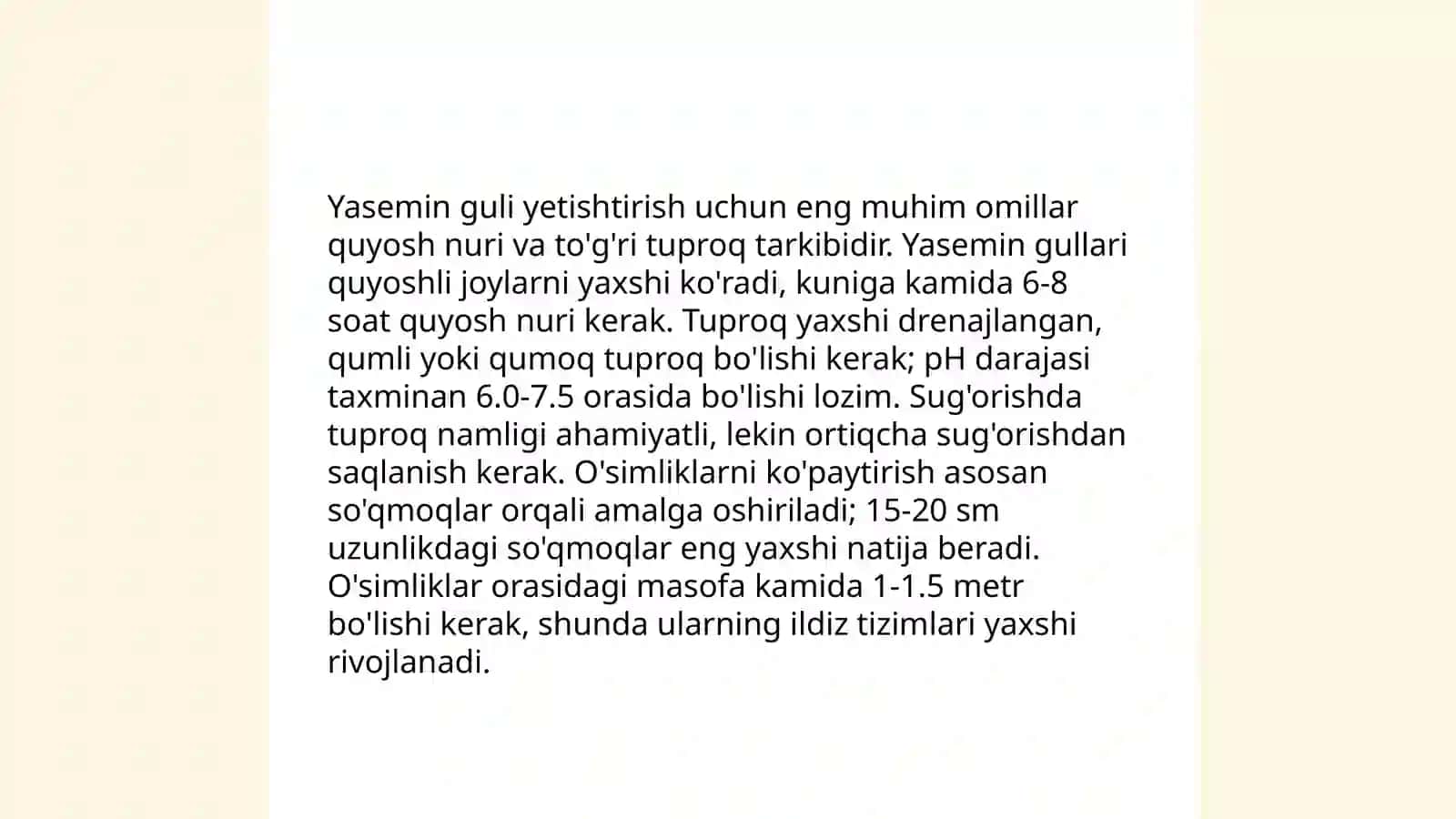Yasemin guli yetishtirish usullari 3