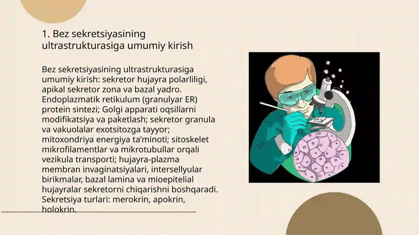 Bez sekretsiyasining ultrastrukturaviy asoslari. Mezenximaning tuzilishi va ahamiyati 3