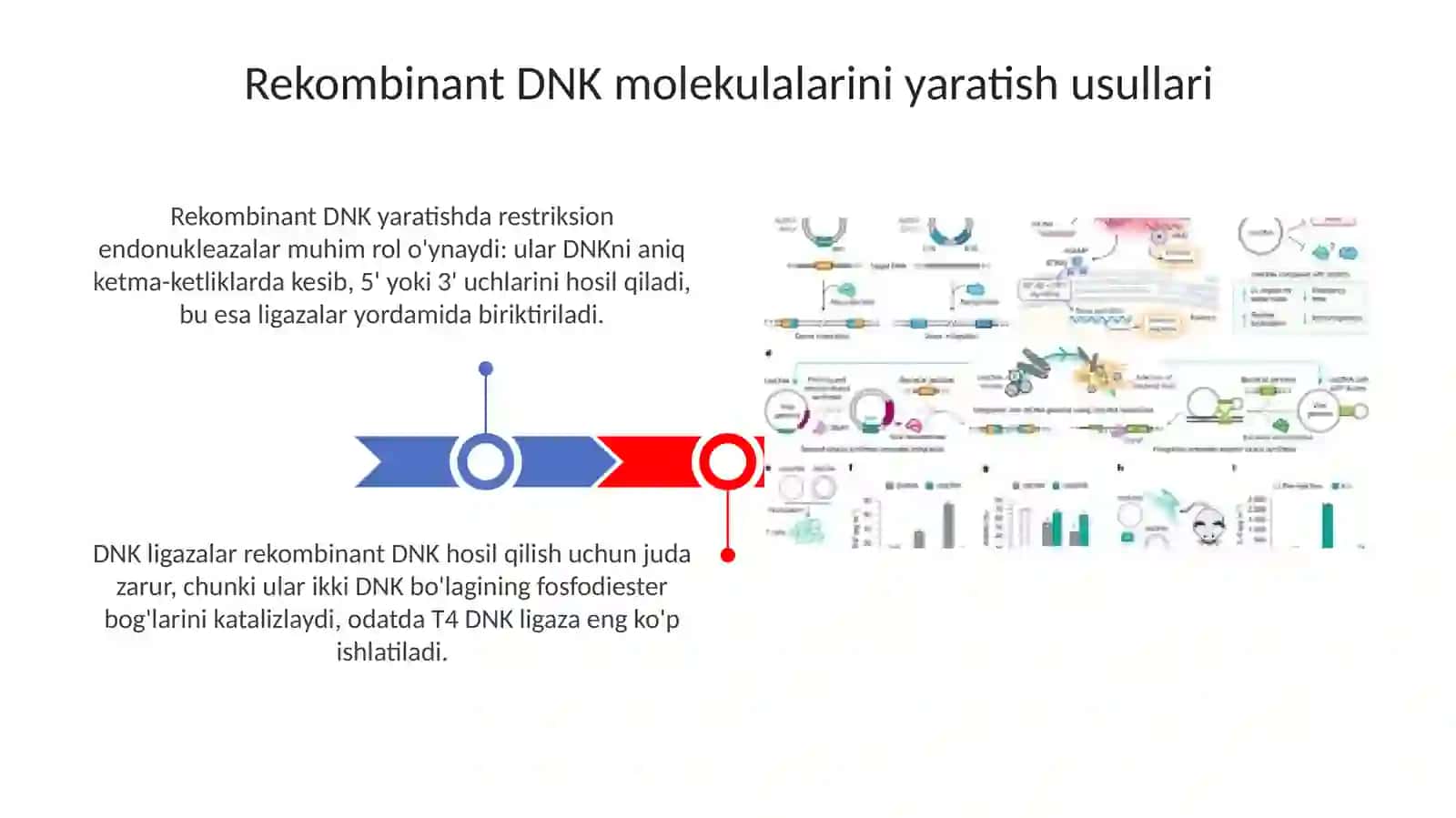 Recombinant DNK molekulalarining yaratishning metodlari 3