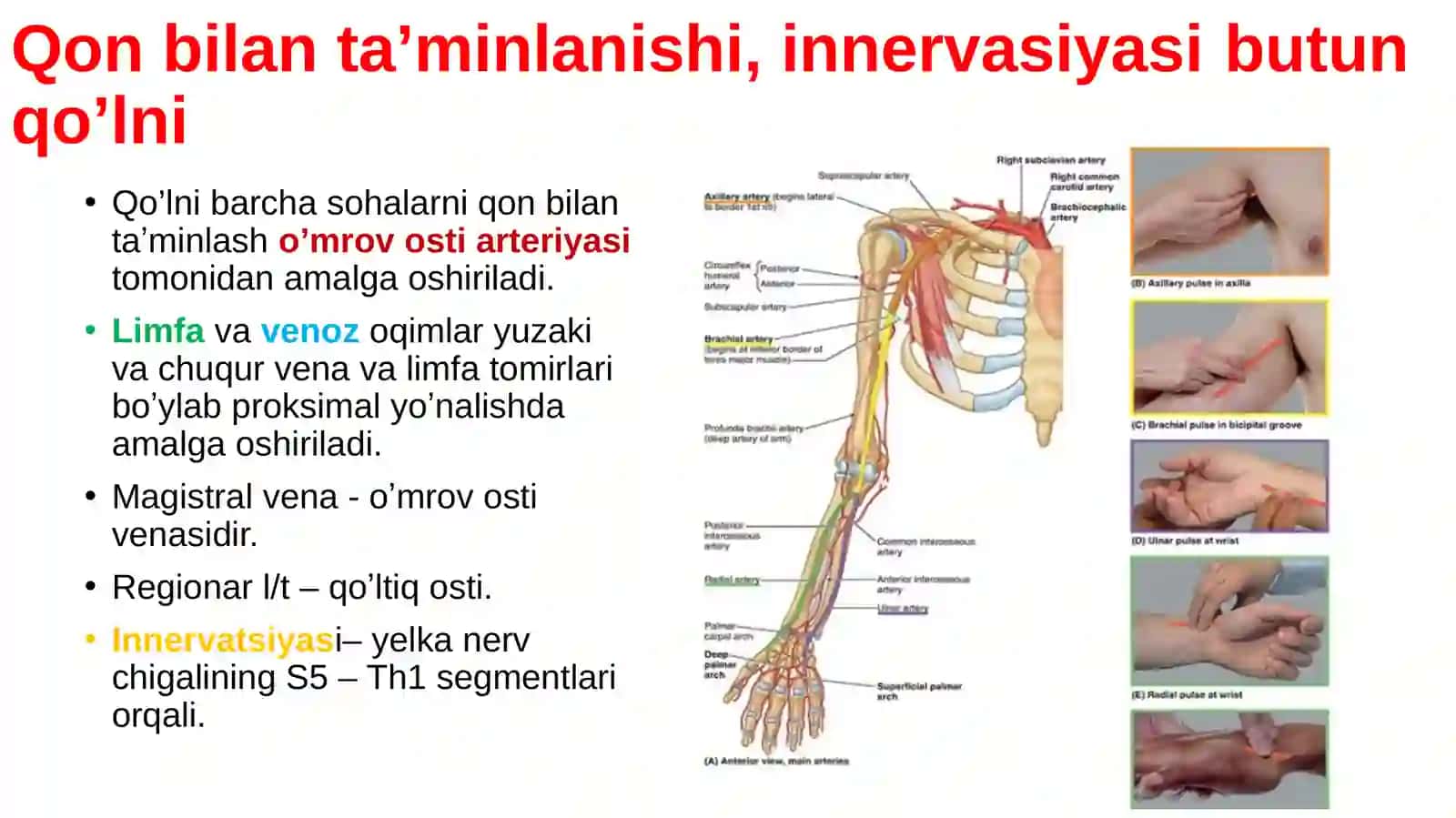 Barmoqlar 3