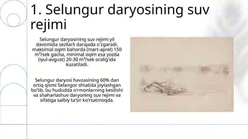 Selungur makoni 3