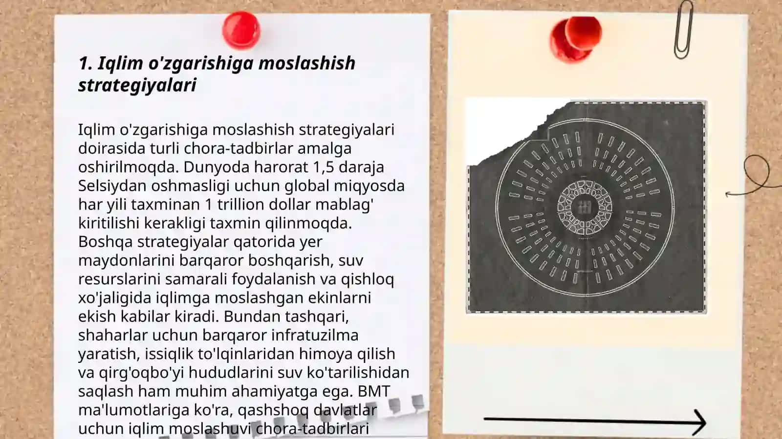 Antropogenning biosferaga ta'sirini kamaytirish uchun kurashamiz 3