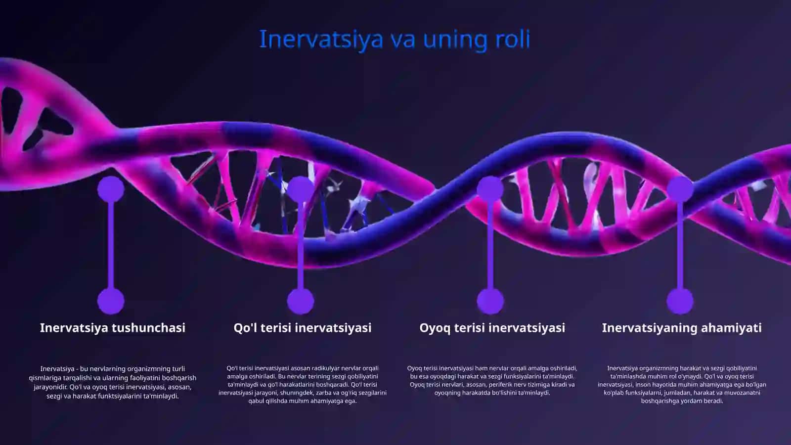 Qoʻl va oyoq terisi inervatsiyasi 3