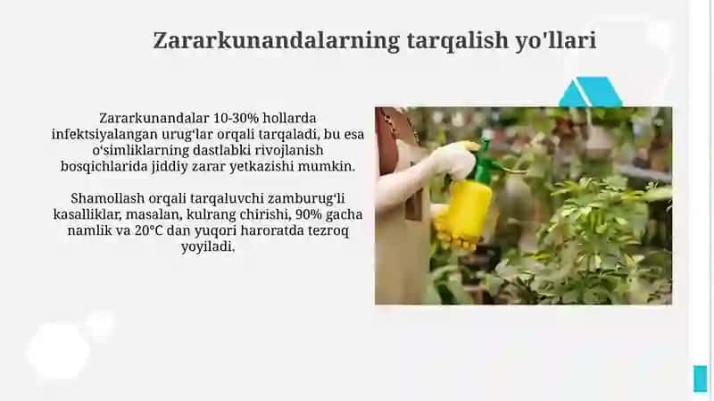 Qand lavlagi kasalliklari va zararkunandalarga qarshi kurash 3