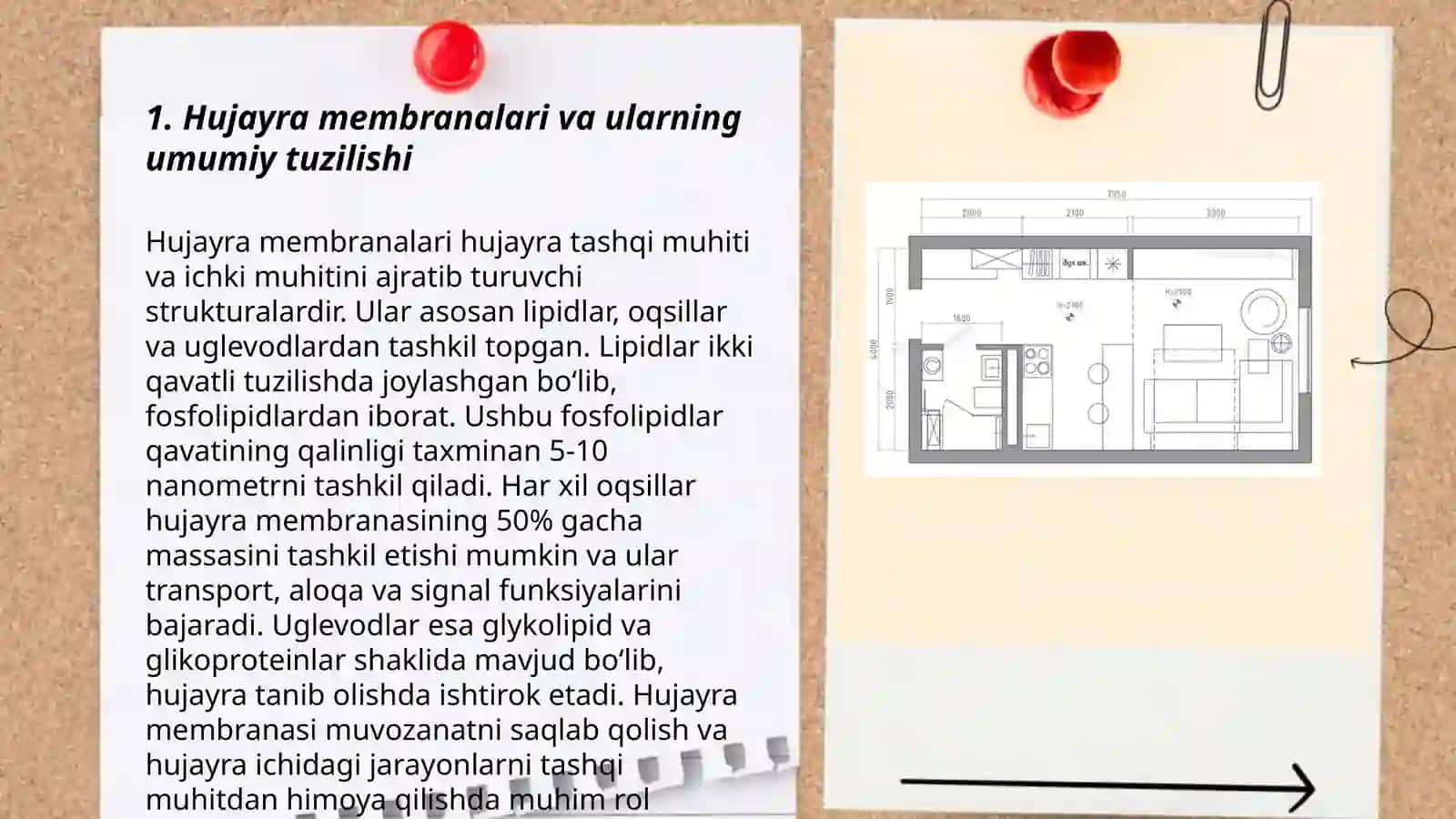Hujayraning har bir komponetlaring harakteristikasi: membiranalarning tuzilishi tarkibi funksiyasi va ularda kechadigan biokimyoviy jarayonlarning tarifi 3
