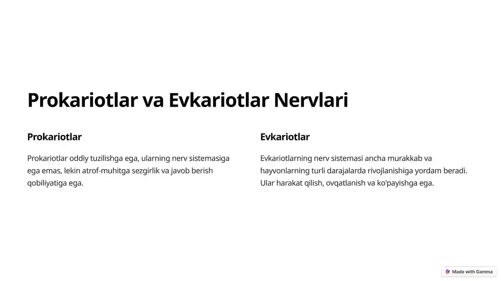 Nerv Sistemasi Filogenezi 3
