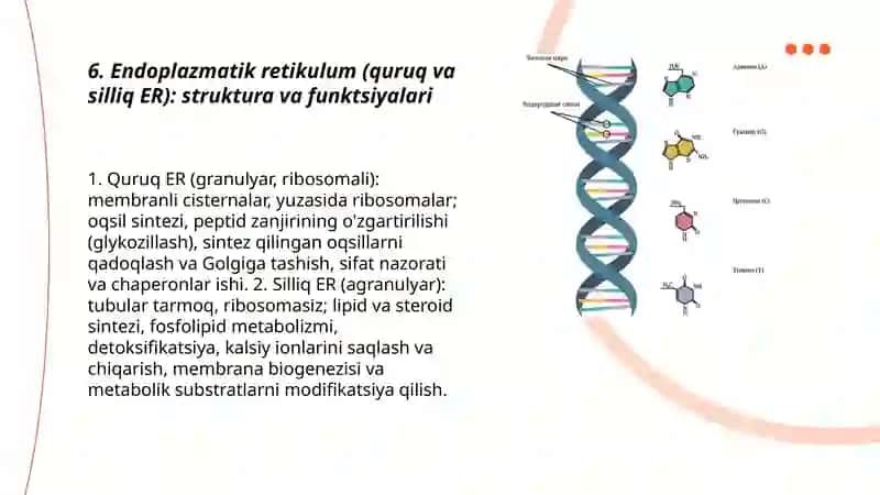 Hujayra biologiyasi va kimyoviy tarkibi 3