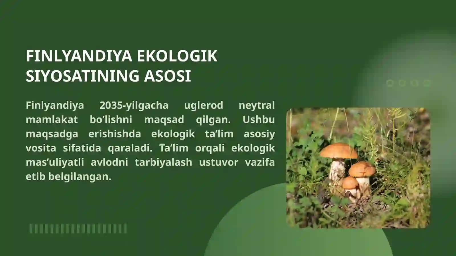 FINLYANDIYA EKOLOGIK TA’LIM VA TARBIYA TIZIMI 3