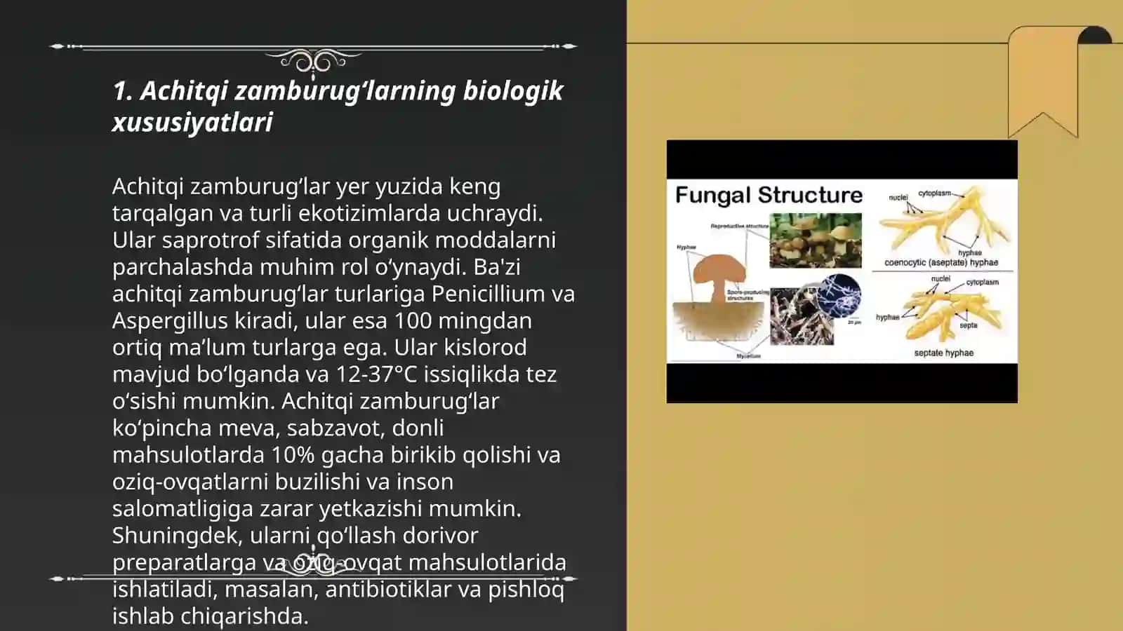 Achitqi zamburugʻlar turlarini oʻrganish 3