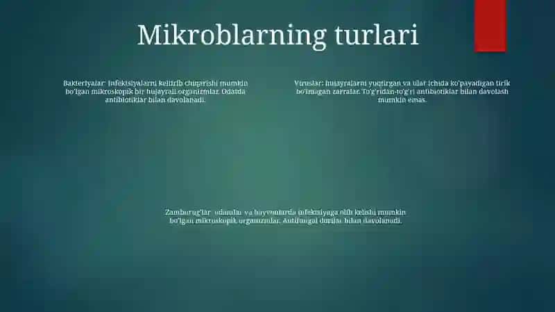 Mikrob Va Virus 3