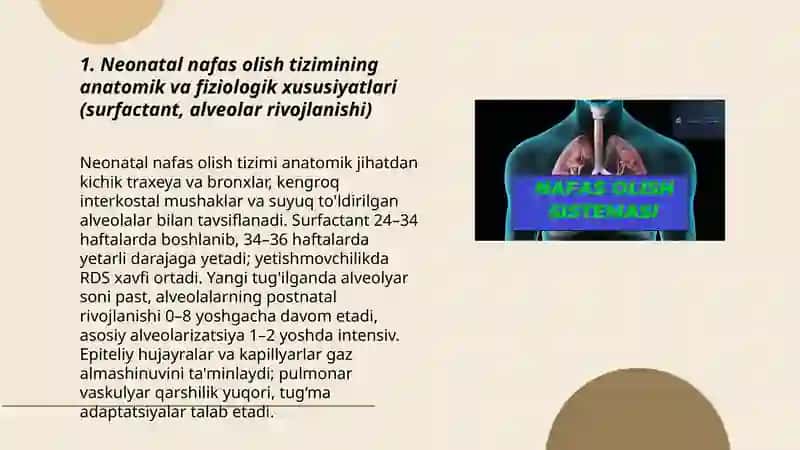 Nafas olish va ayrish tizimining yoshga bogʻliq xususiyatlari 3