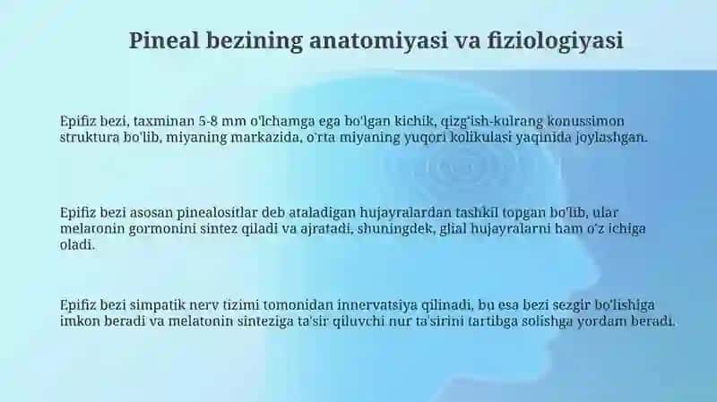 Epifiz bezi 3
