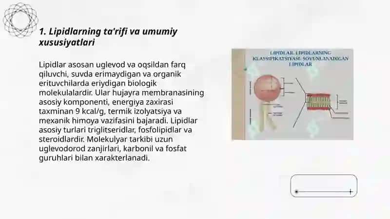Lipidlar 3