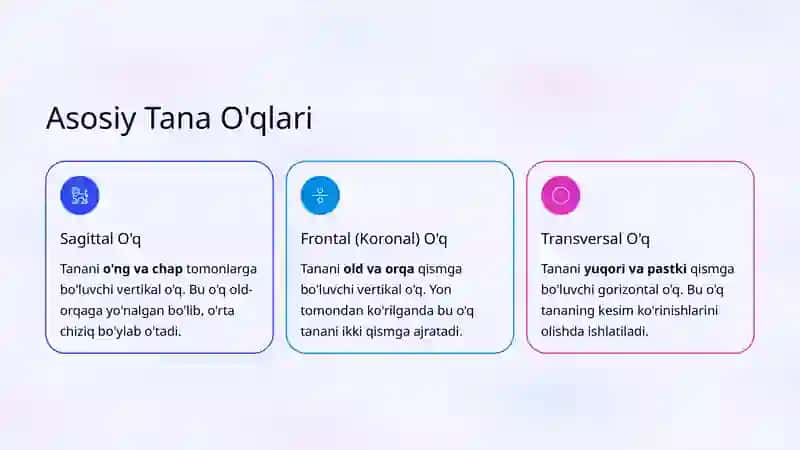 Tana O'qlarining Anatomik Tavsifi 3