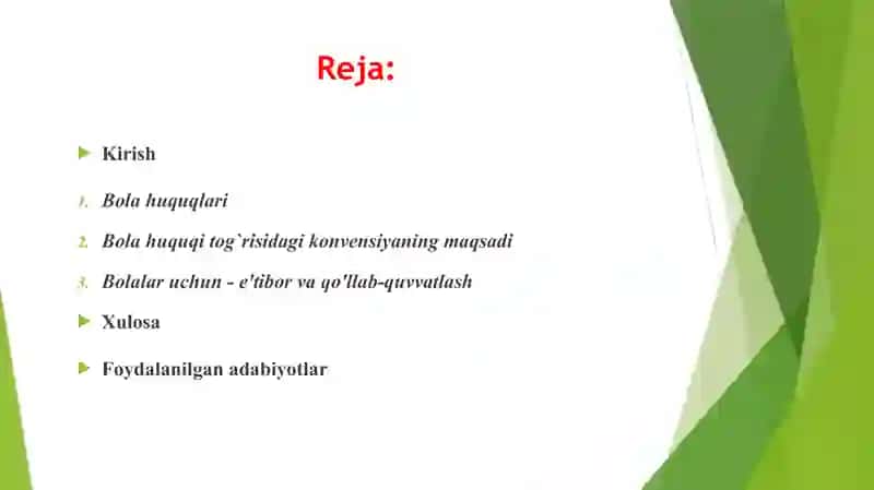Bola huquqi tushunchasi va mohiyati. Bola huquqlarining vujdga kelish tarixi 3