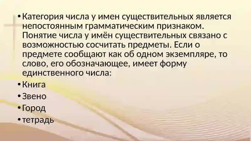 Единственное и множественное число имен существительных 3