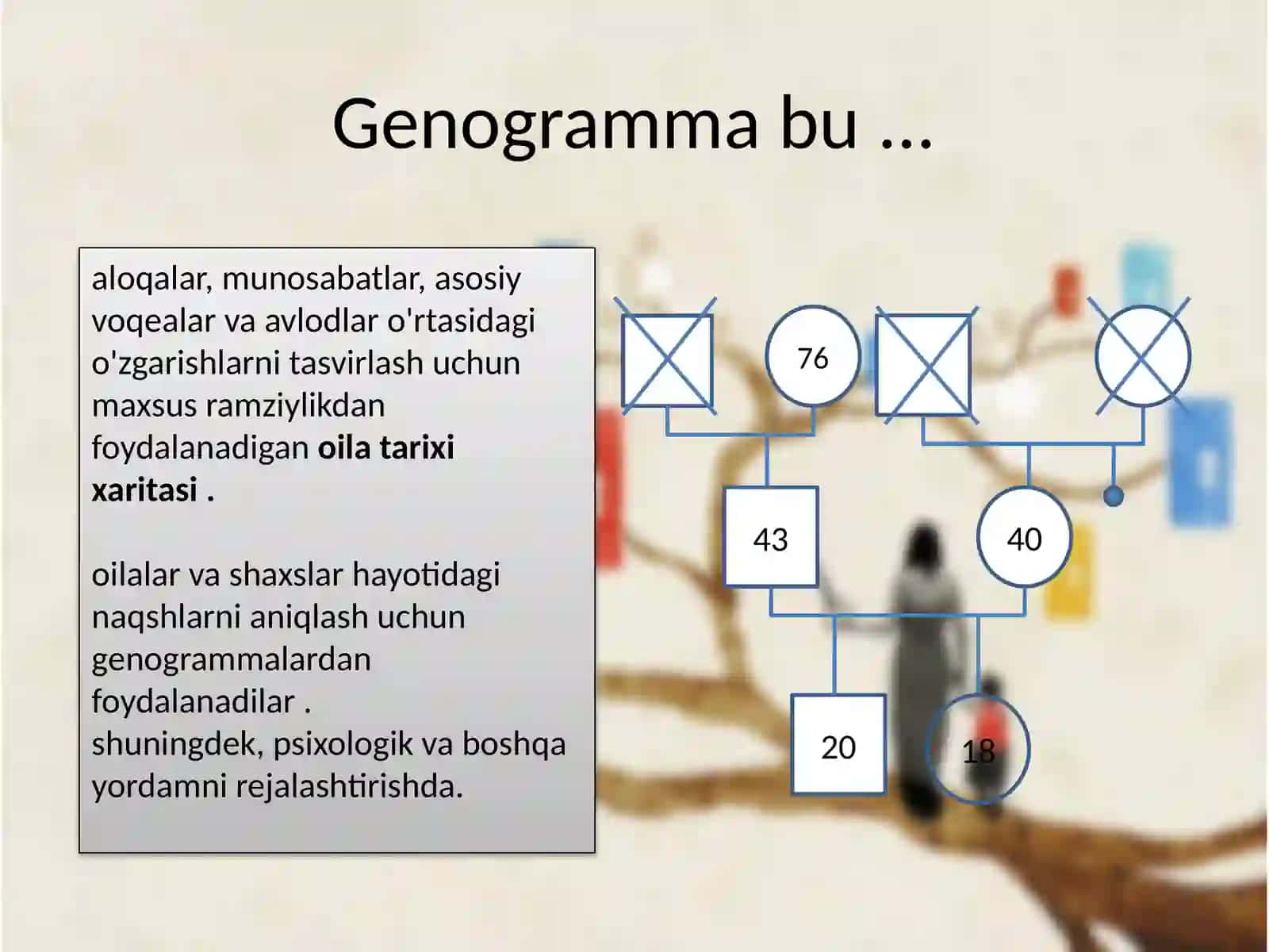 Genogramma ushunchasi 3