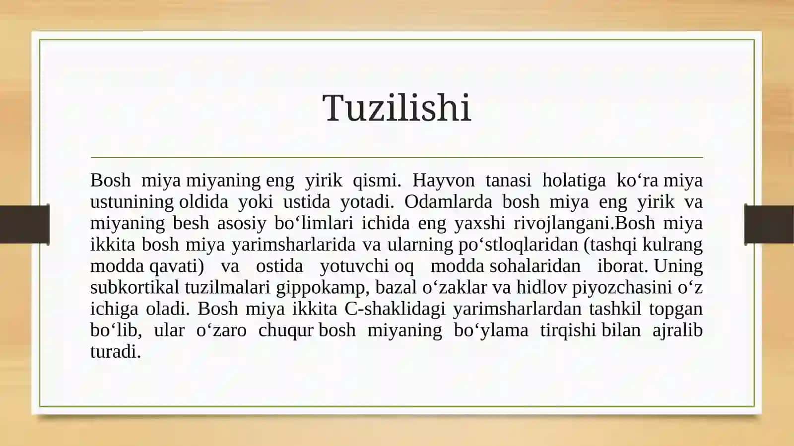 Bosh miya 3