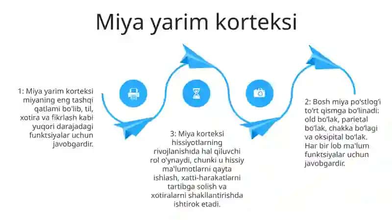 Мия Турли Тузилмаларнинг Хиссиётлар Ривожланишидаги Ахамияти 3