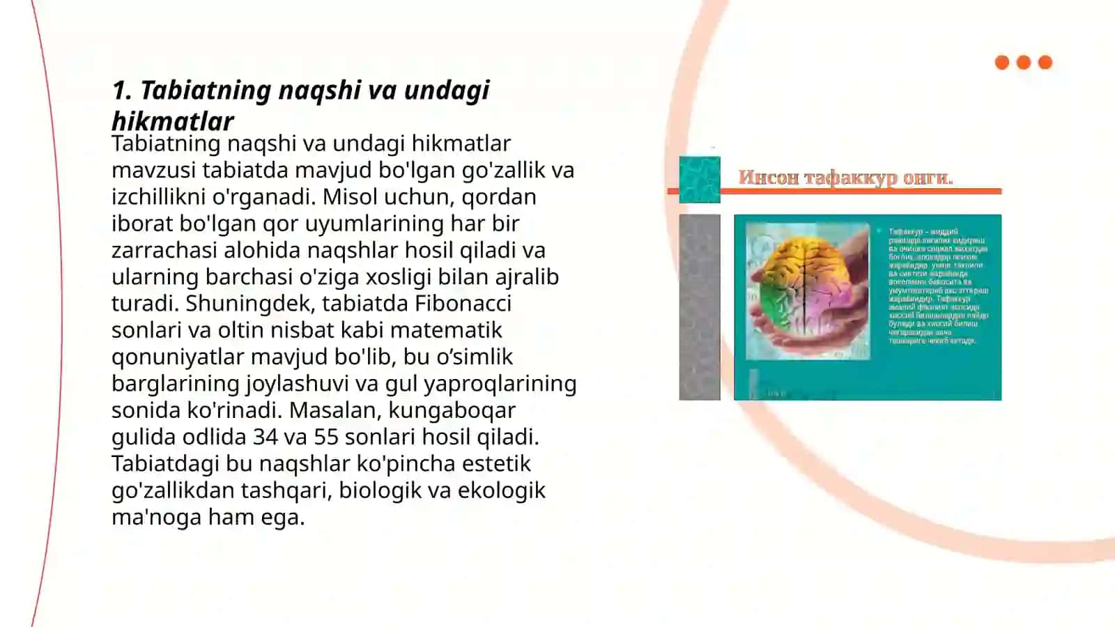 Tabiatning naqshi va undagi hikmatlar 3