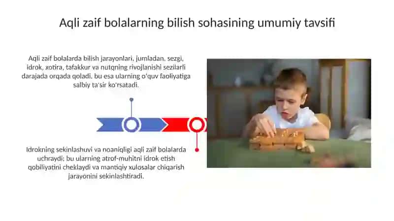 Aqli zaif bolalar bilish jarayonlarining xususiyatiari 3