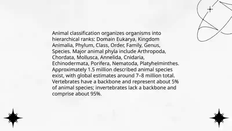 Animal Classification 3