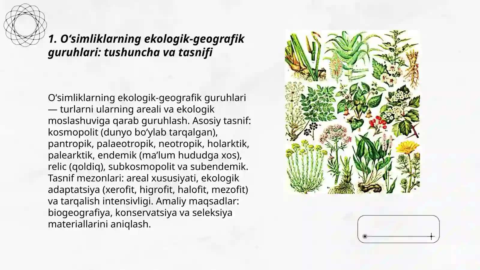 Oʻsimliklarning ekologik-geografik guruhlari va navlarining tarkibi 3