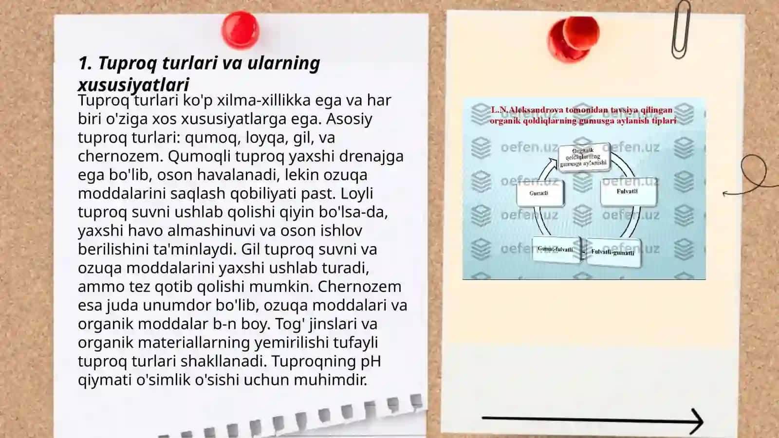 Tuproq banitirovkasi va yerlarni iqtisodiy baholash 3