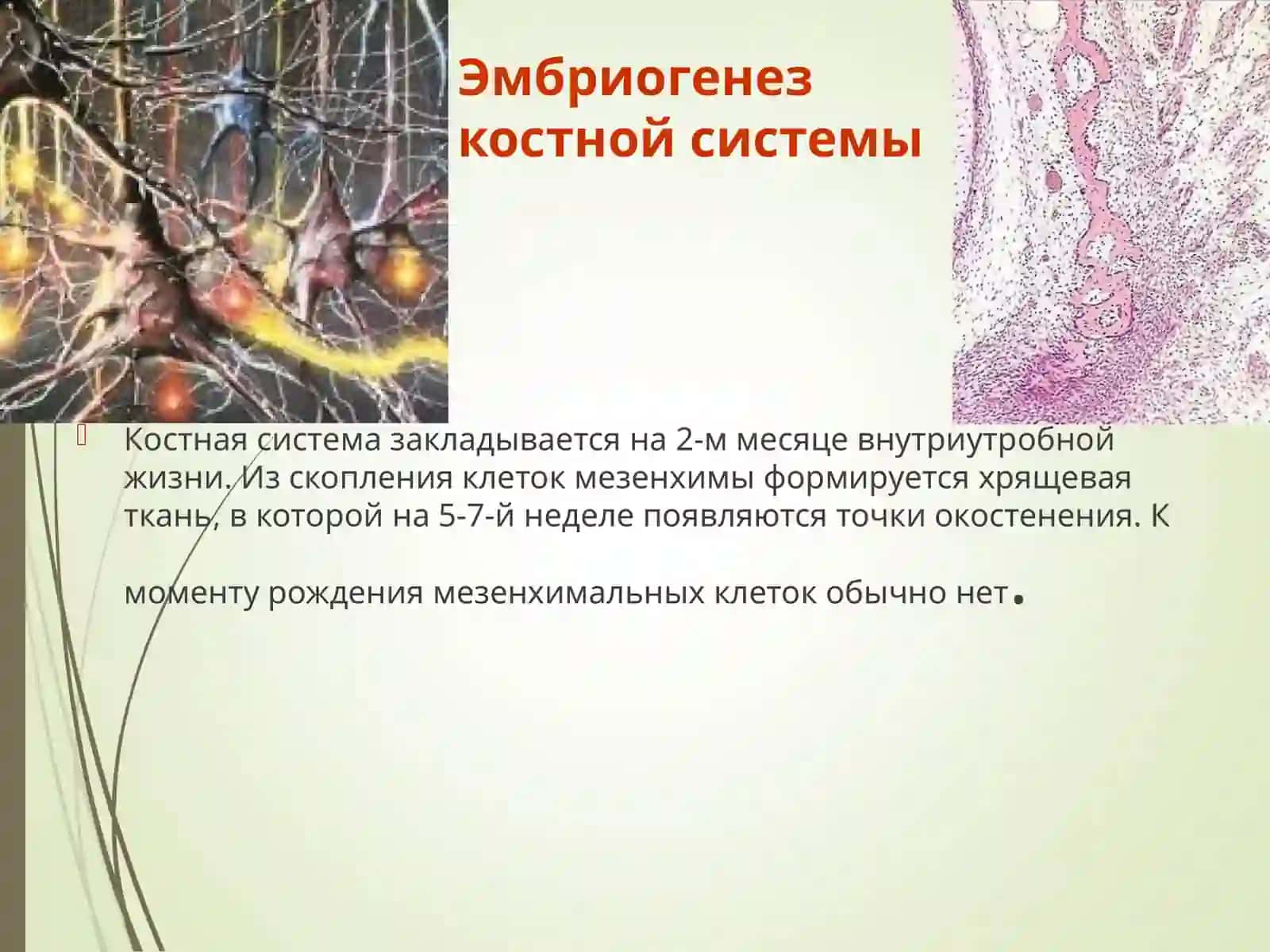 Анатомо-физиологические особенности костно-мышечной системы у детей. Семиотика поражений и заболеваний костно-мышечной системы 3
