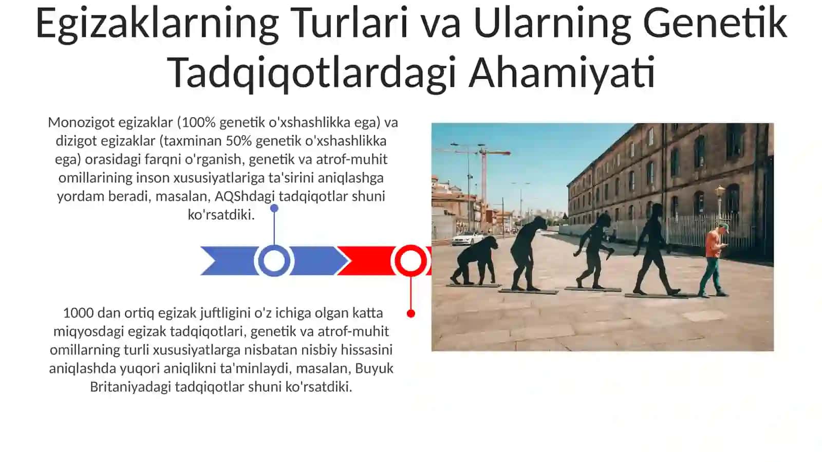 Odamlar genetikasini oʻrganish usullari genetik egizaklar usuli 3