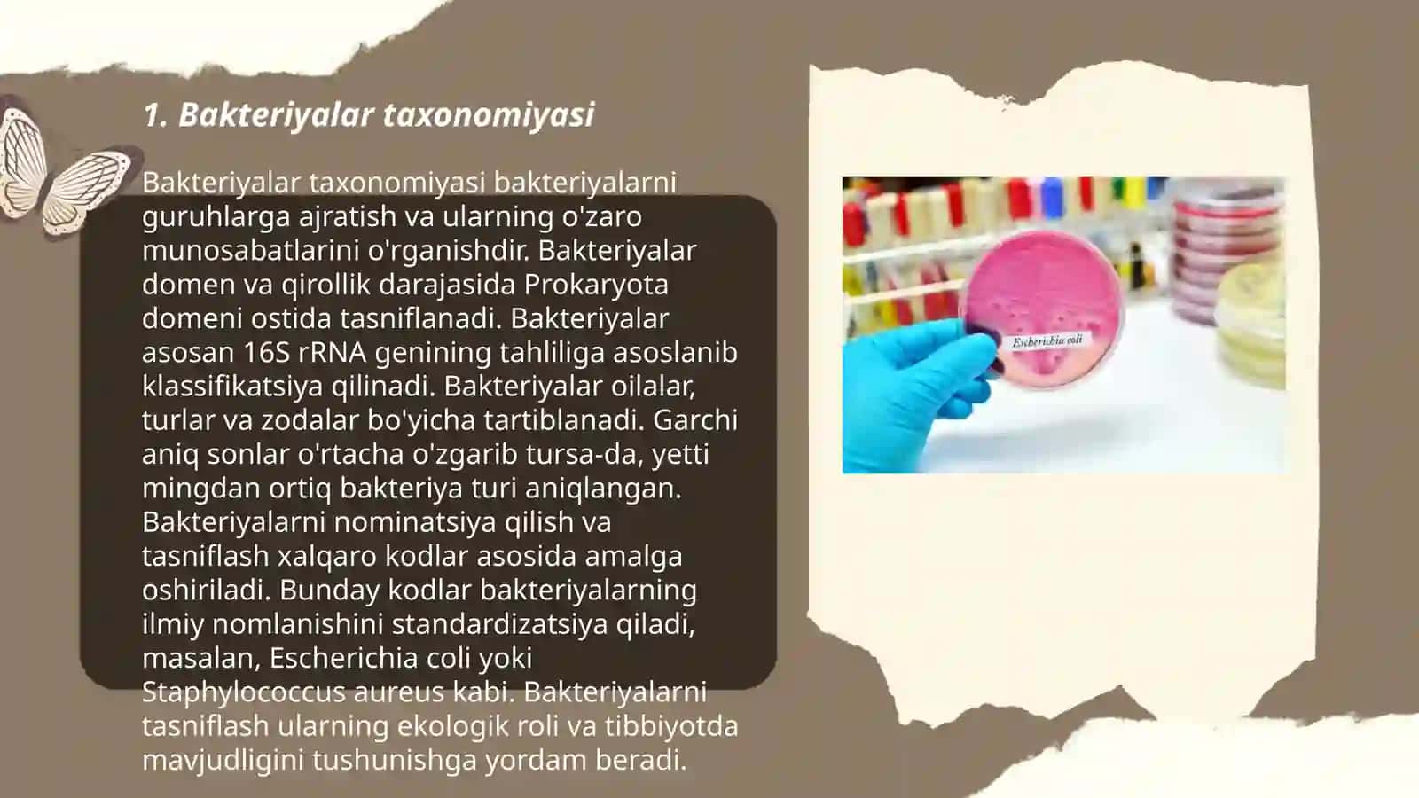 Bakteriyalar klassifikatsiyasi, toksonomiyasi va nomenklaturasi 3
