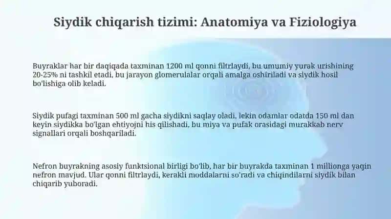 Siydik ajratish tizimi va kasalliklari 3