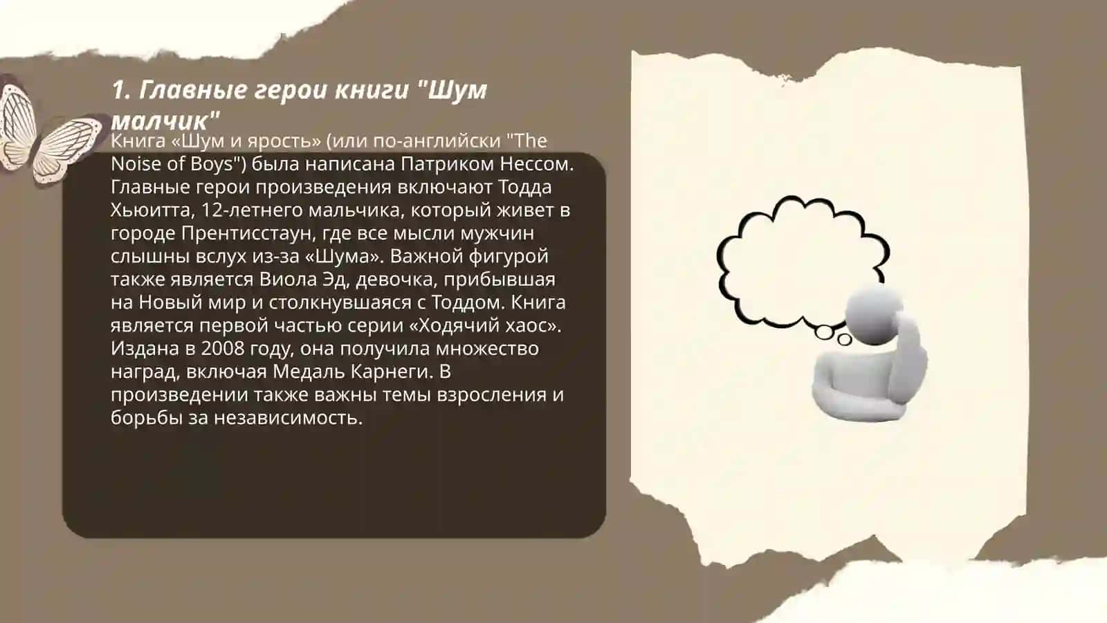 Шум малчик 3