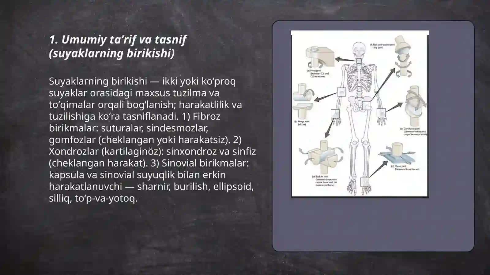 Suyaklarning birikishining umumiy tavsifi 3