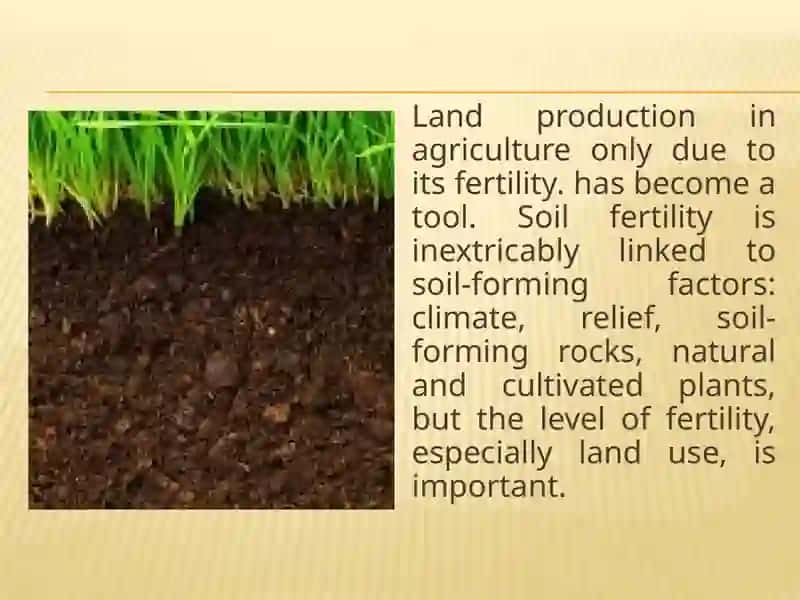Use of microorganisms in increasing soil fertility 3