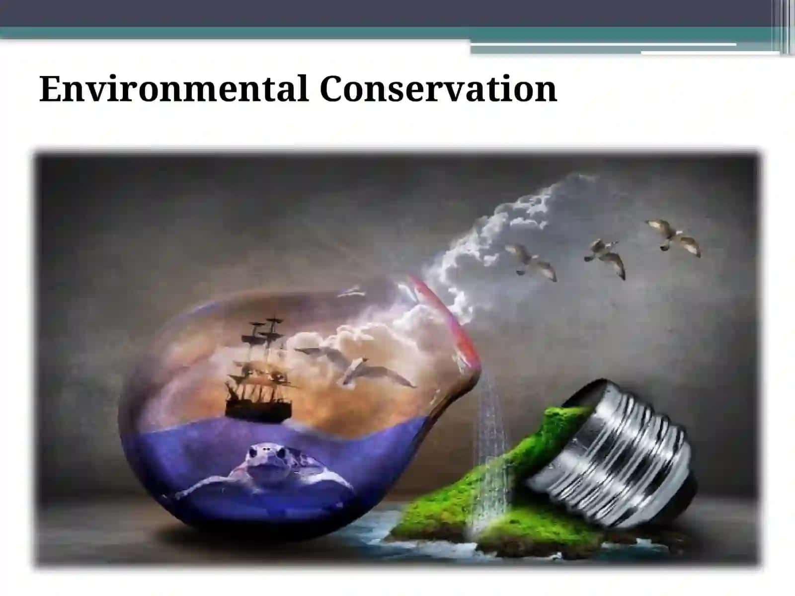 Environmental Conservation 3