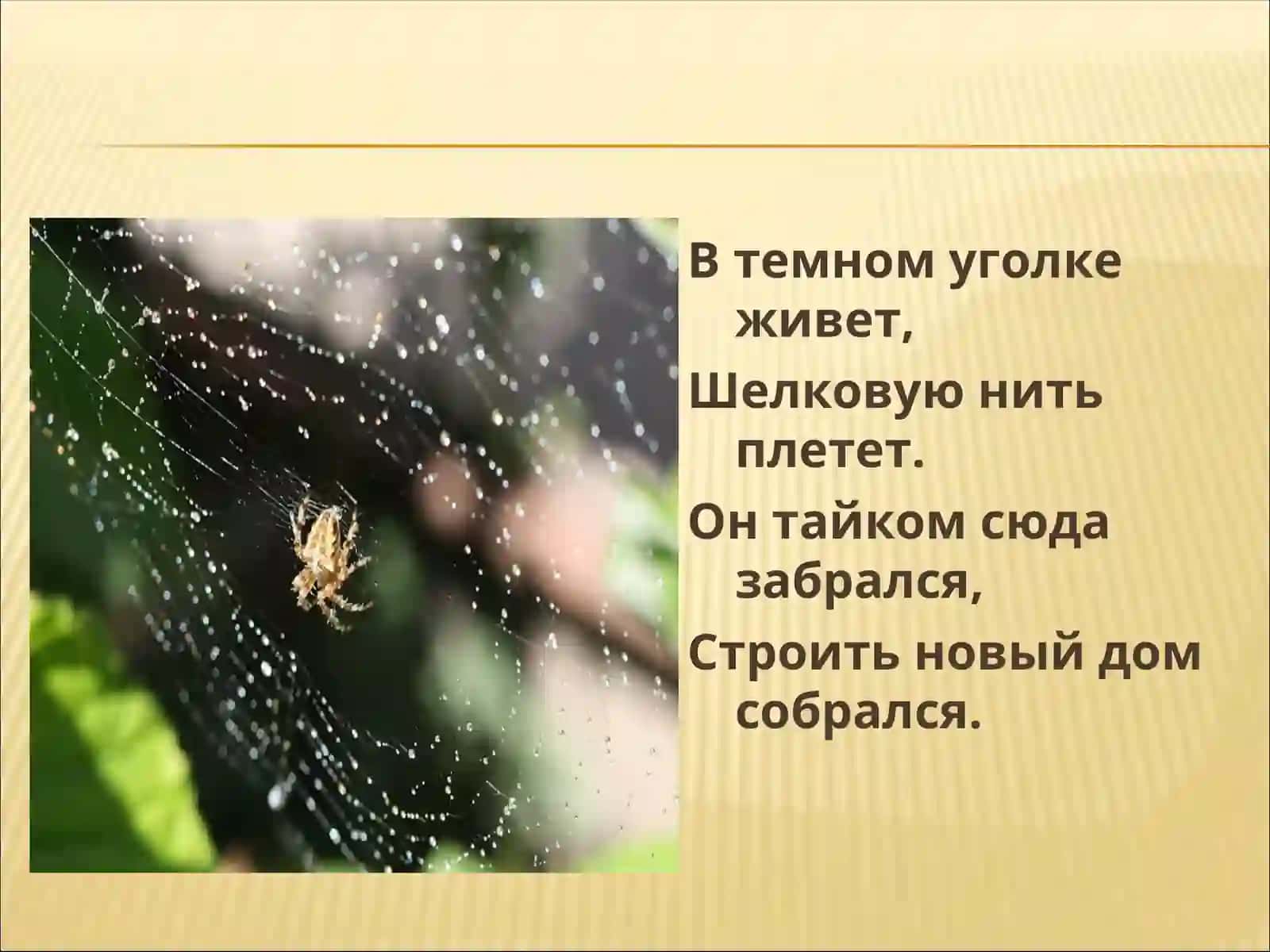 Путешественники 3