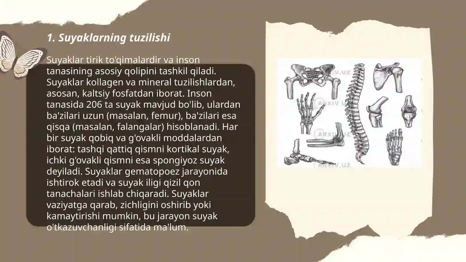 Suyaklarning oʻzaro birlashuvi 3