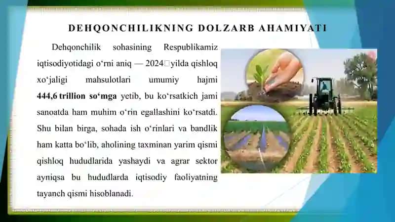Respublikamiz dehqonchiligining hozirgi holati, muammolari va hal qilish yo’llari ilmiy maqolalar sharhi 3