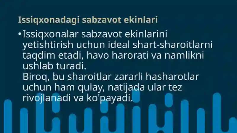Issiqxonadagi sabzavot ekinlarining so‘ruvchi zararkunandalarining morfologiyasi 3