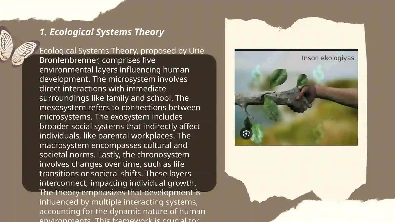 Human ecology 3