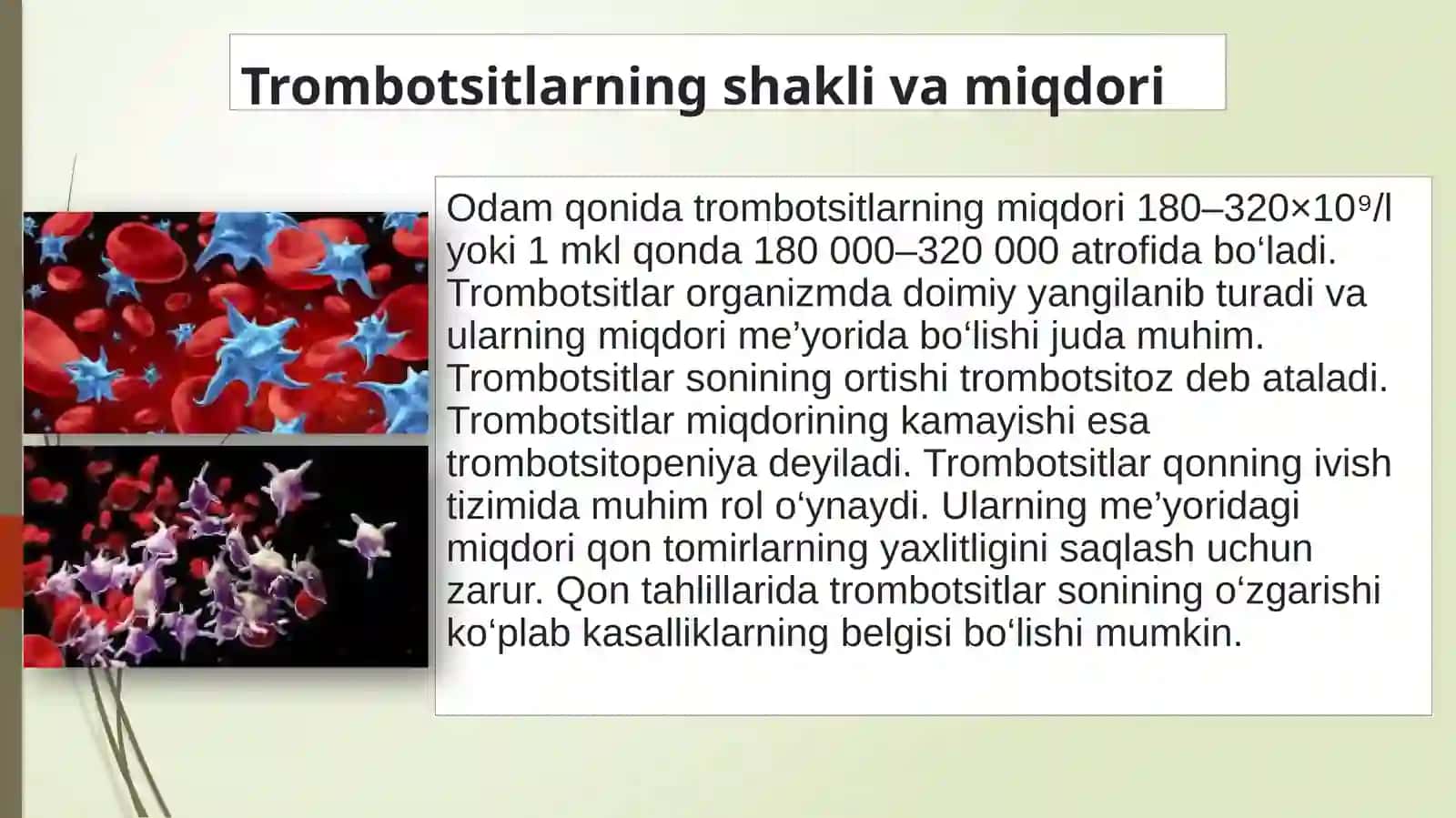 Trombotsitlar 3