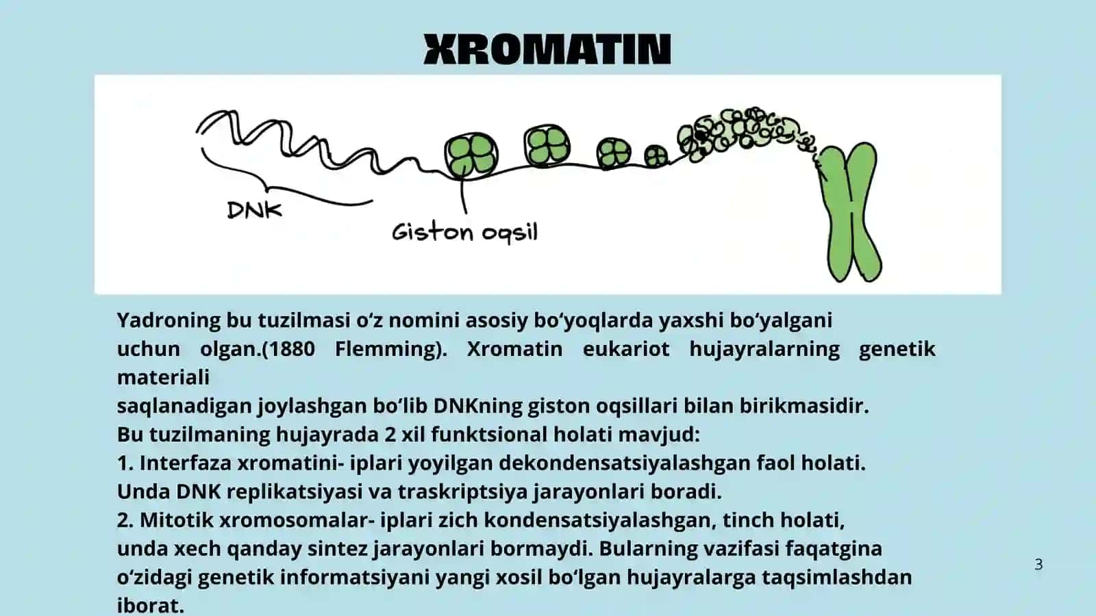 Xromatinning tuzilishi va nukleosomalar 3