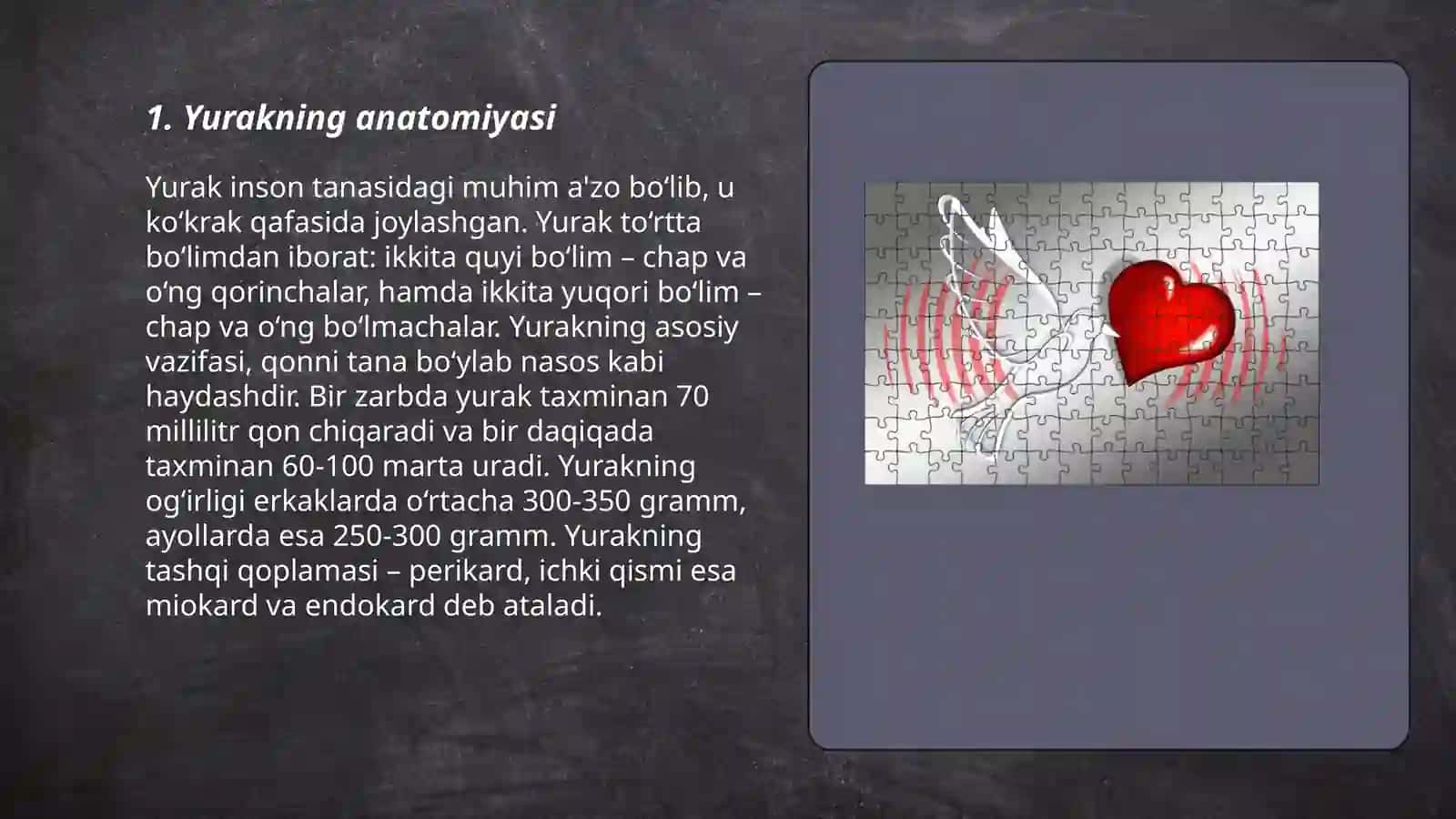 Yurak 3