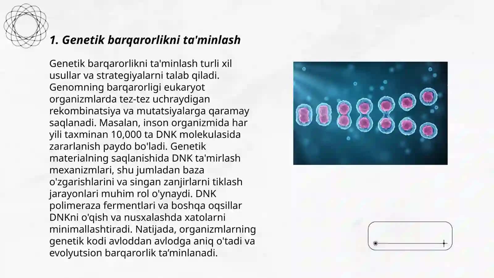 Mitozning biologik ahamiyati 3