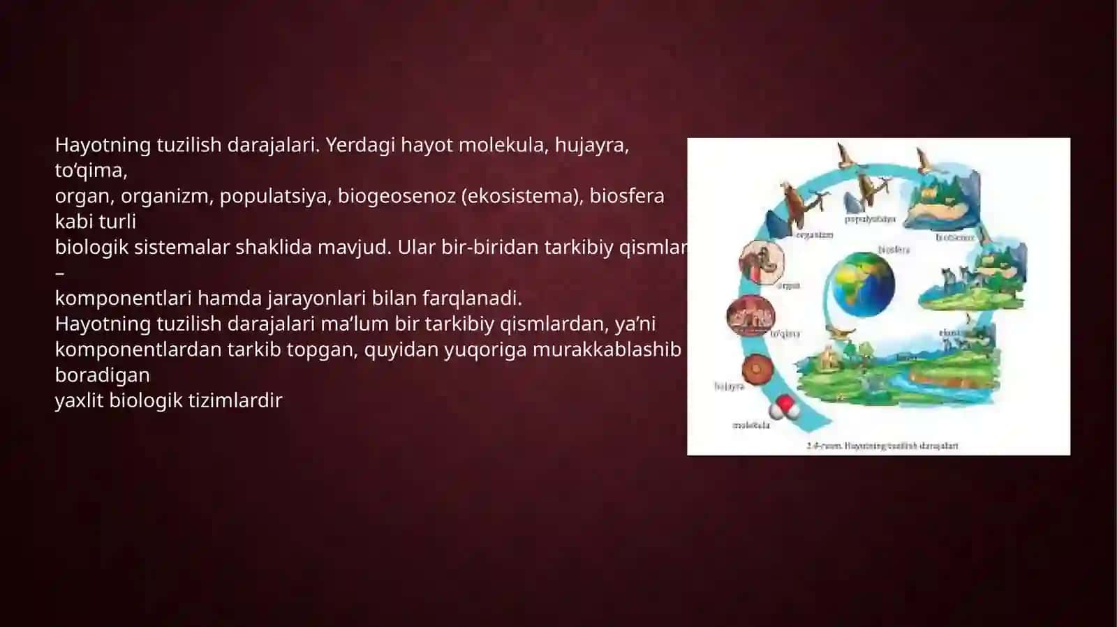 hayotning tuzilish darajalari(organ) 3