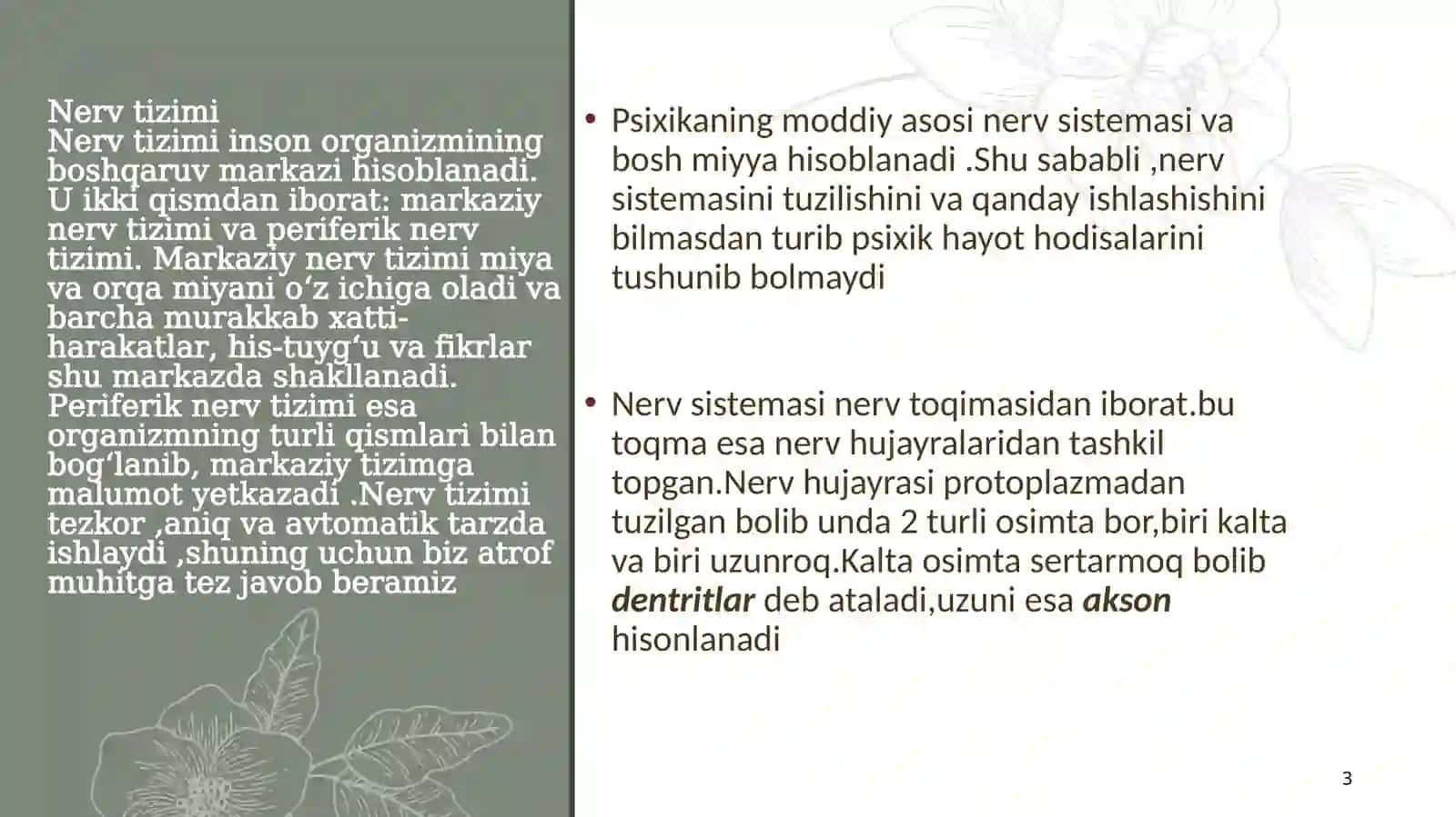 Xulq-atvorining psixofiziologik asoslari (12 slaydli prezentatsiya) 3