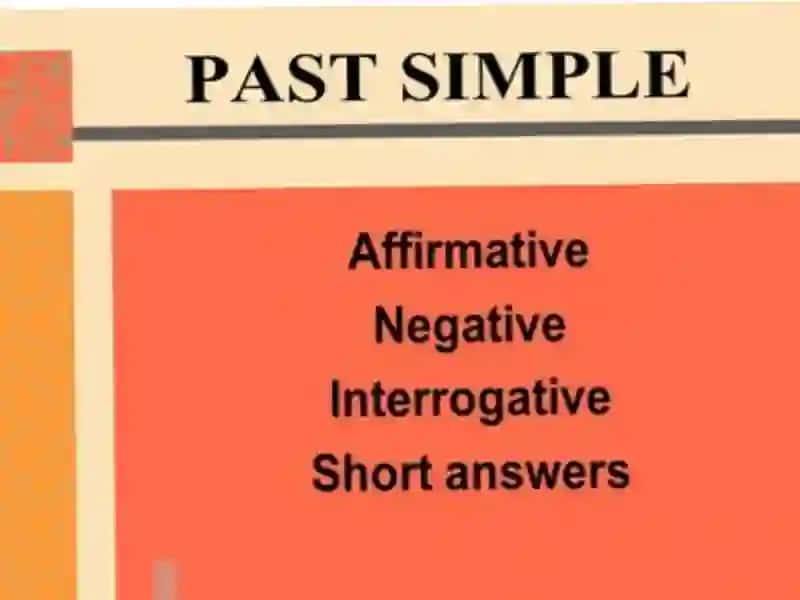 The simple past tense 3